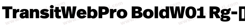 TransitWebPro BoldW01 Rg字体转换